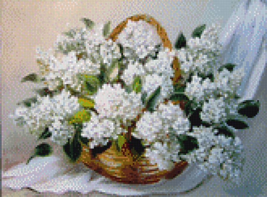 белая сирень - сирень, букет, цветы - предпросмотр