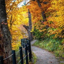 Схема вышивки «осень»