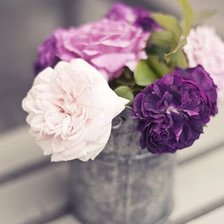 Схема вышивки «№817978»