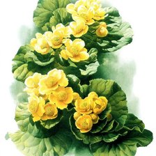 Схема вышивки «панно с жёлтыми цветами»