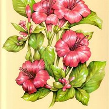 Схема вышивки «цветы»