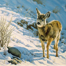 Схема вышивки «№818222»