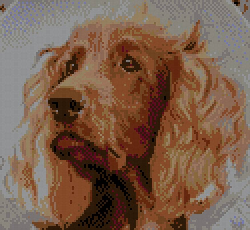 Джим - животные - предпросмотр