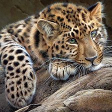 Схема вышивки «№818581»