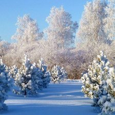 Схема вышивки «№818646»