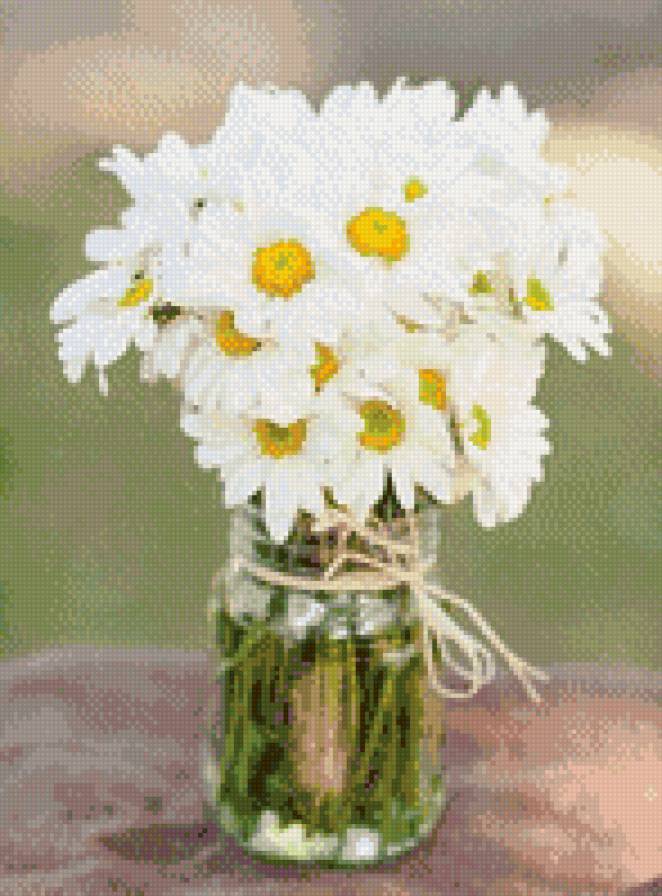 №818649 - цветы, ромашки - предпросмотр