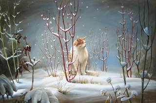 Котик Снежок - снег, зима, кот - оригинал