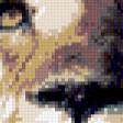 Предпросмотр схемы вышивки «лев» (№818664)