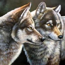 Схема вышивки «№818704»