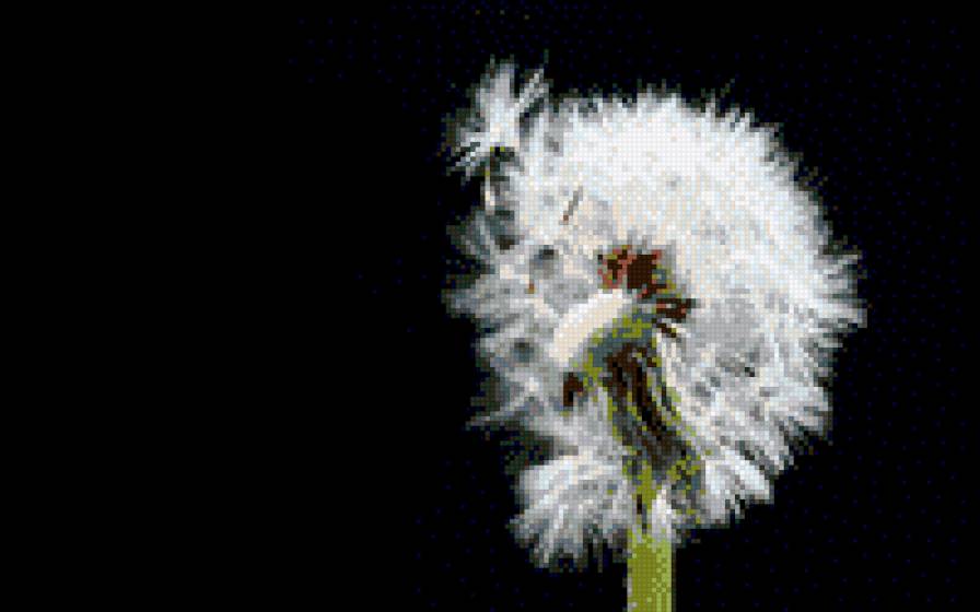 одуванчик - триптих цветы - предпросмотр