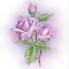 Схема вышивки «№818964»