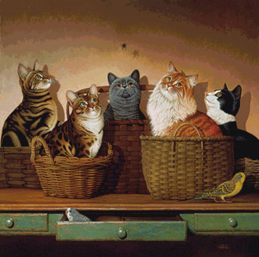 созерцание - коты, котики - предпросмотр