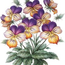 Схема вышивки «№818969»