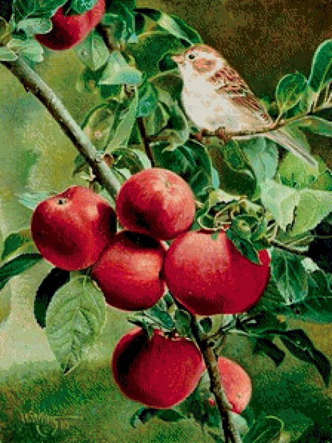 №819017 - предпросмотр