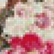 Предпросмотр схемы вышивки «№819068»