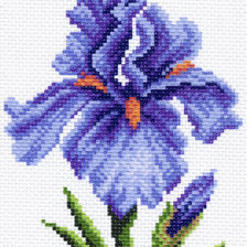 Схема вышивки «Ирис»