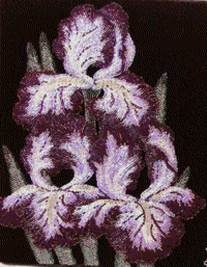 Ирис№2 - предпросмотр