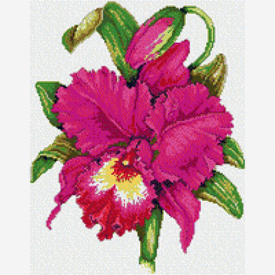 Ирис №3 - предпросмотр