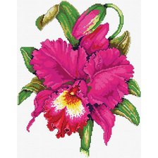 Схема вышивки «Ирис №3»