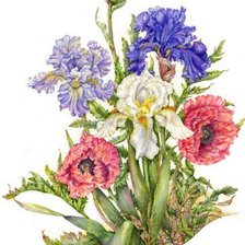 Схема вышивки «№819342»