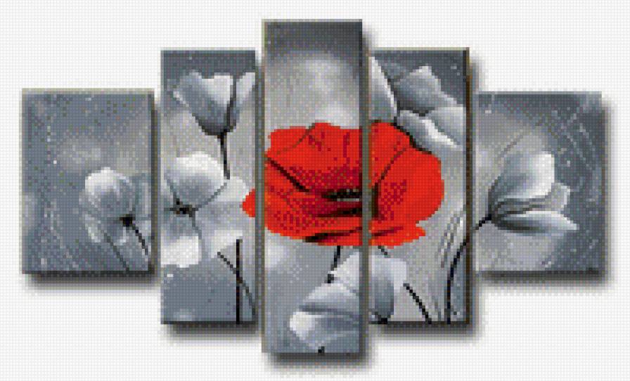 цветы - разделение - предпросмотр