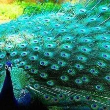 Схема вышивки «№819574»