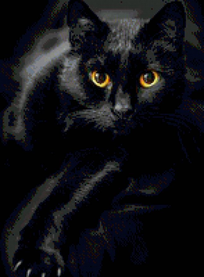 киса - кошка - предпросмотр