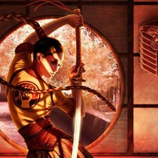 Схема вышивки «Самурайка»