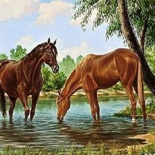 Схема вышивки «№819806»