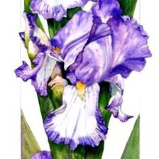 Схема вышивки «№819809»