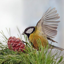 Схема вышивки «№819984»