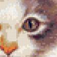 Предпросмотр схемы вышивки «котик» (№820029)