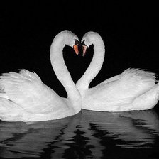 Схема вышивки «Лебеди»