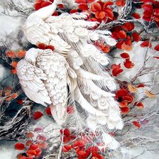 Схема вышивки «павлины»