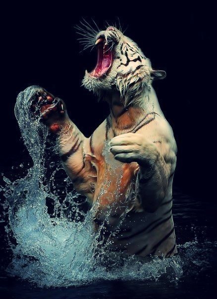 Тигр - тигр, вода - оригинал