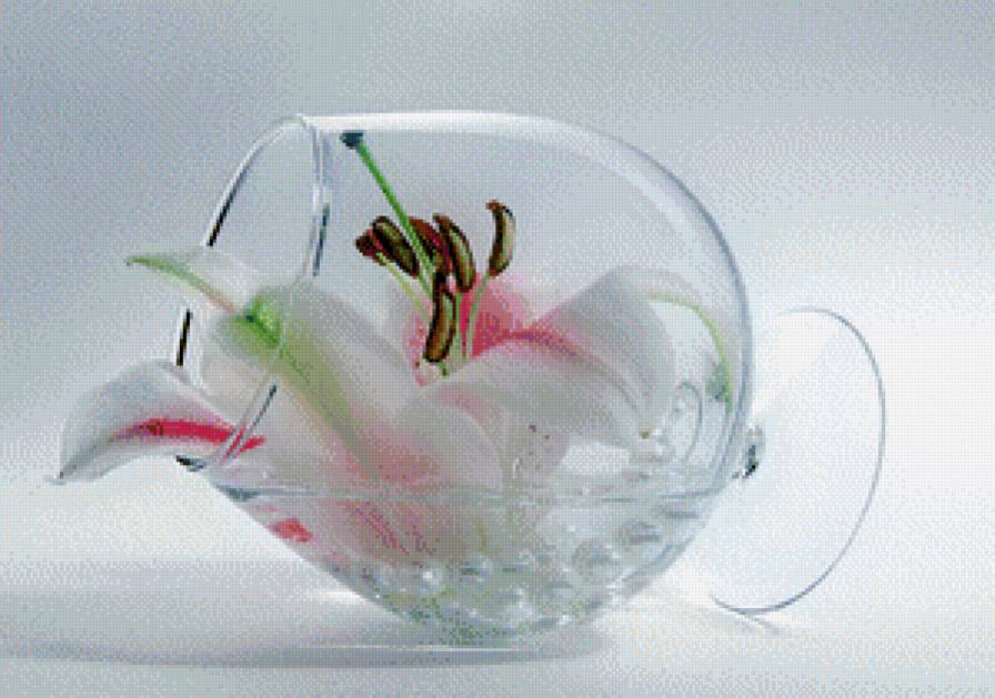 №820424 - предпросмотр