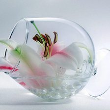 Схема вышивки «№820424»