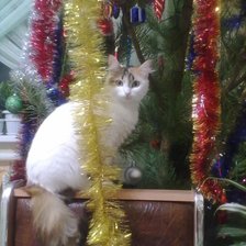 Схема вышивки «Снегурочка»