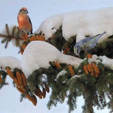 Схема вышивки «№820651»