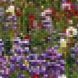 Предпросмотр схемы вышивки «Альпийский луг» (№820654)