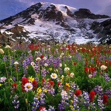 Схема вышивки «Альпийский луг»