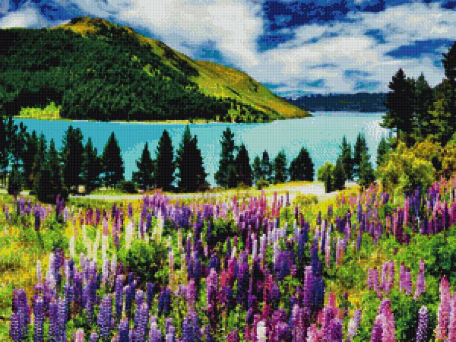 Цветущий луг - луг, пейзаж, лето, цветы - предпросмотр