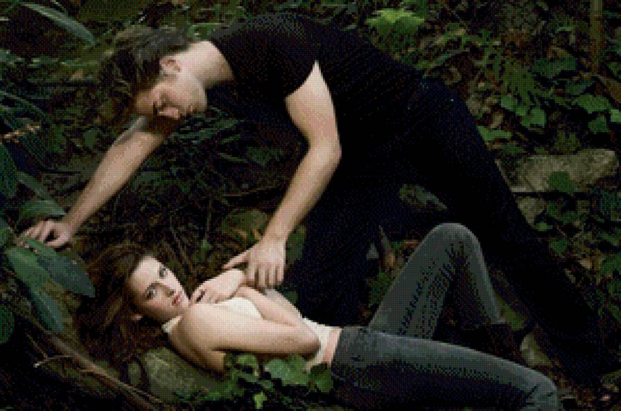 сумерки - сумерки - предпросмотр