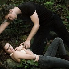 Схема вышивки «сумерки»