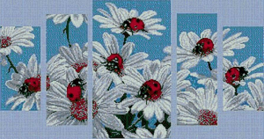 полевые красавицы - полевые цветы ромашки божьи коровки - предпросмотр