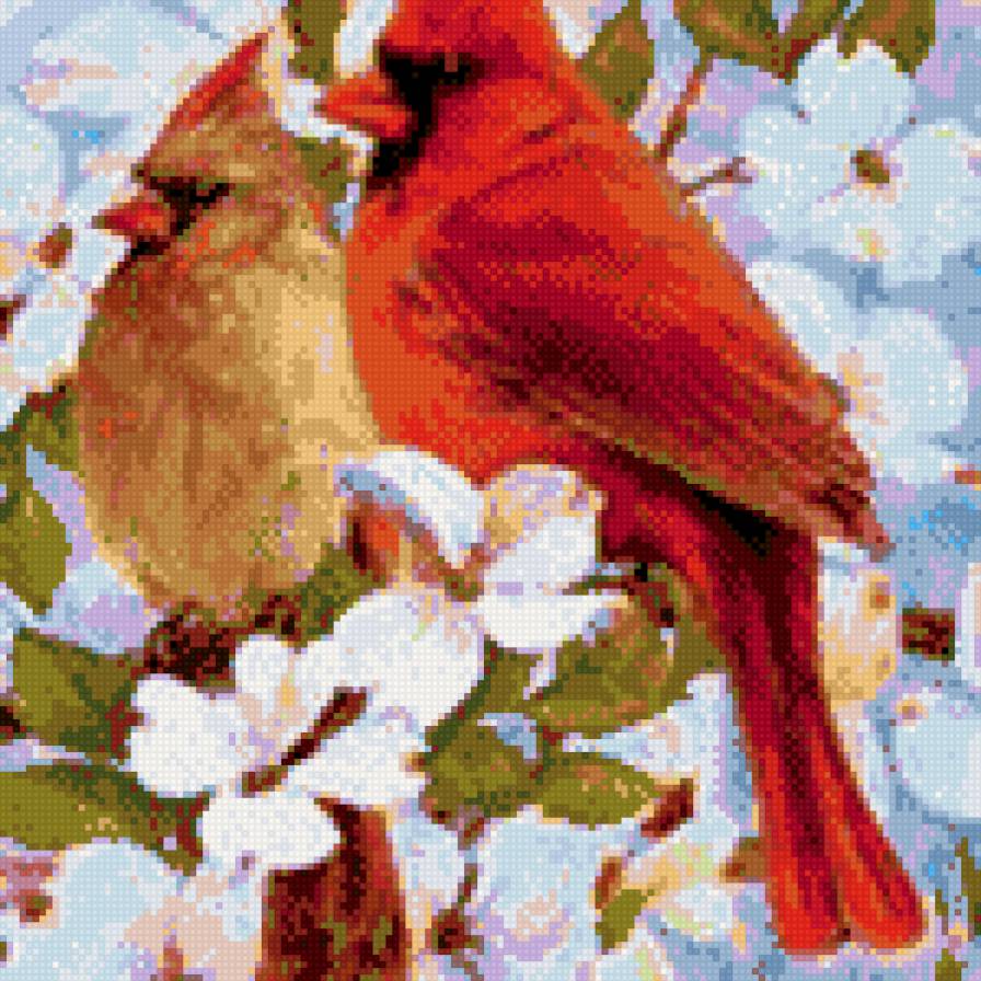 птенцы - цветы птицы - предпросмотр