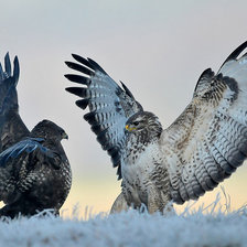 Схема вышивки «№820933»