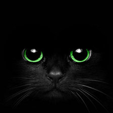 Схема вышивки «Кошка»