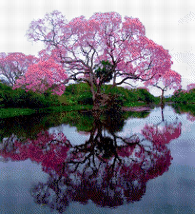 Цветущее дерево - природа - предпросмотр