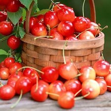 Схема вышивки «Вишня»